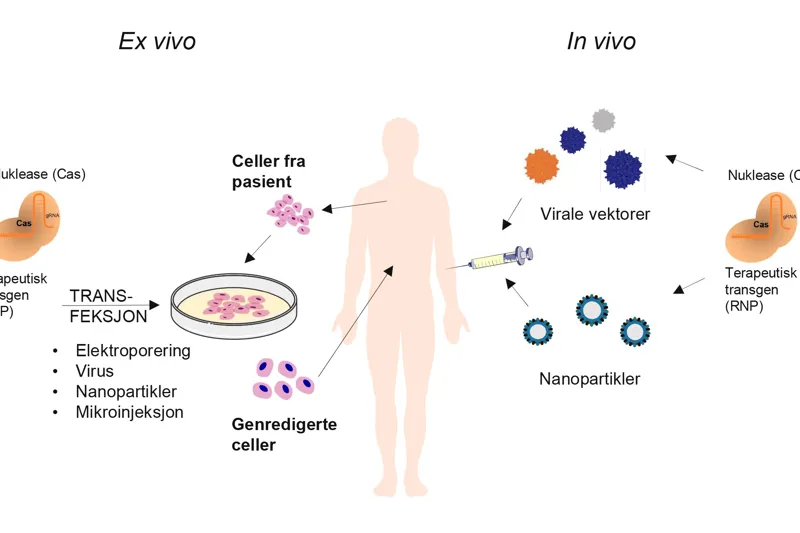 A669 Figurer A669 Version 1 Page 1