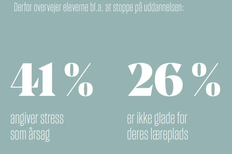 Derfor overvejer eleverne bl.a. at stoppe