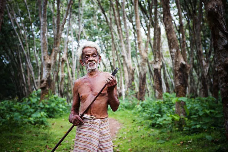 Plantagearbejder på Sri Lanka