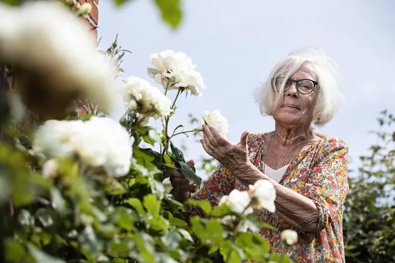 Karin Bodil Schmidt Juhl