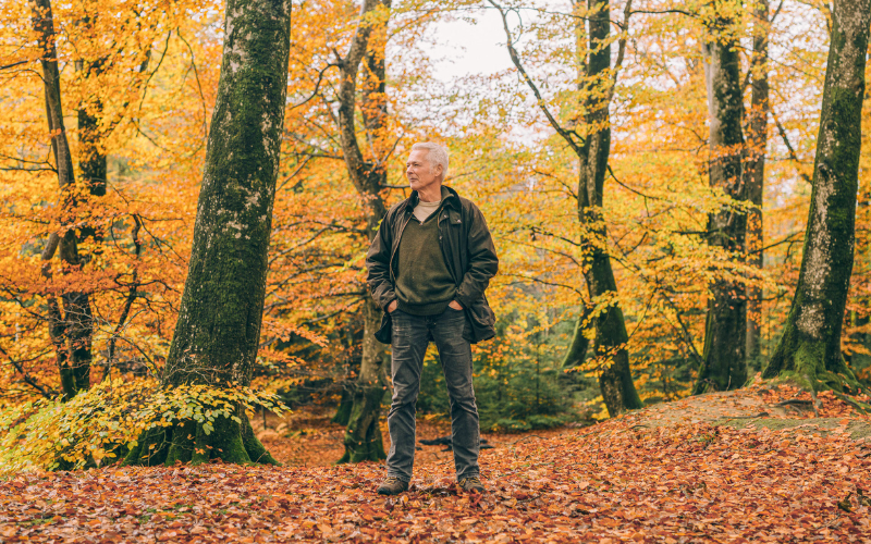 TB2025 11 Land Og By 02