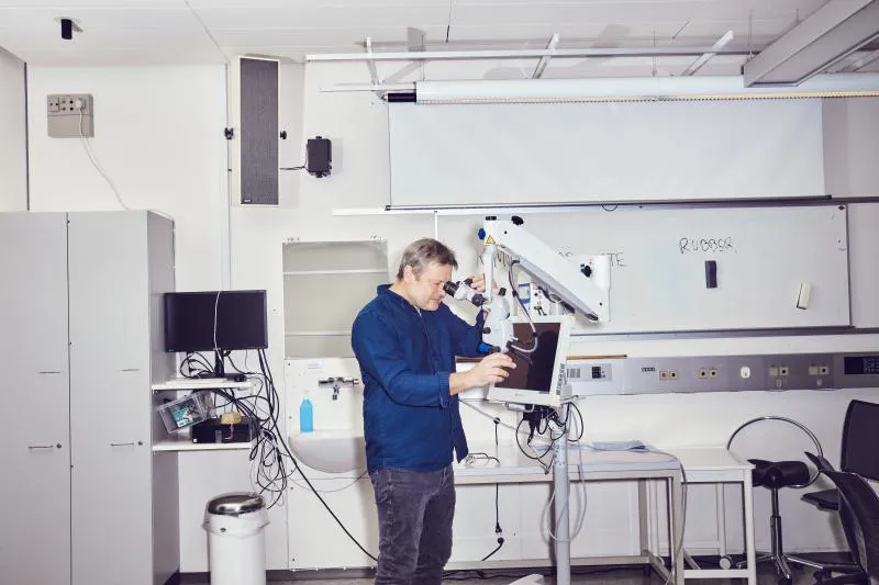 Lars Bjørndal