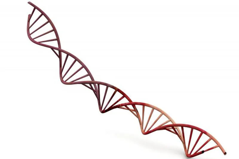 DNA