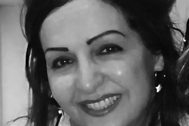 Farideh 2020 Grayscale 300Ppi R1