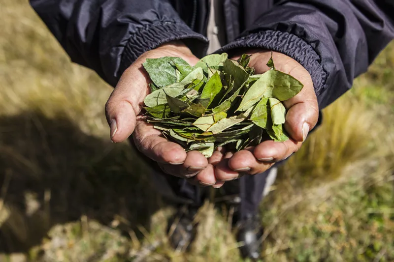 TB2024 10 Web Nyviden