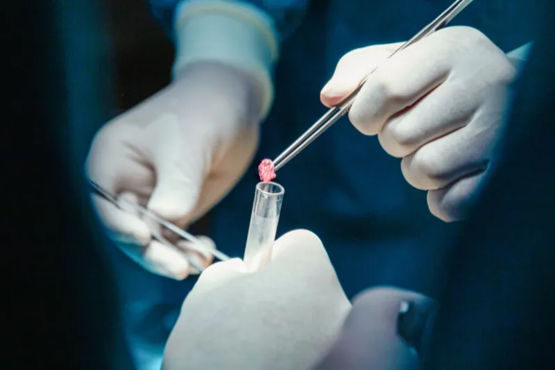 TB2025 05 Lær Af Fejlen